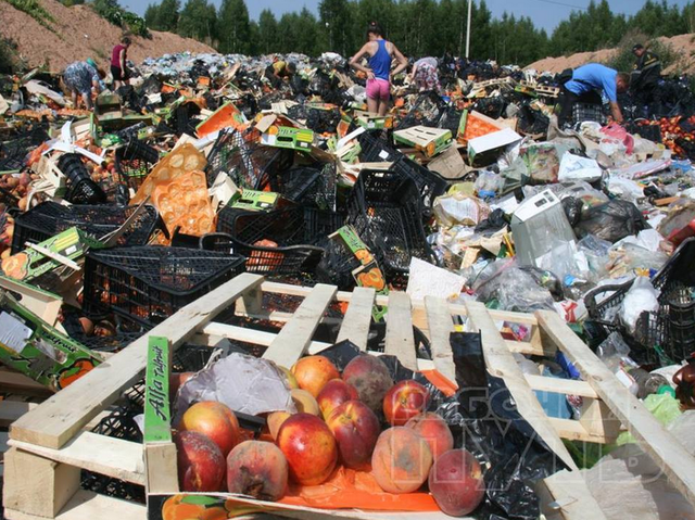 Немецкие СМИ: уничтожение еды — демонстрация цивилизационной слабости России