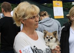 Николаевская сторонница России в угоду экс-«регионалу» Дятлову устроила шоу на телеканале Левочкина