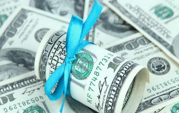 Без траншей МВФ даже до президентских выборов не сможем дойти, - Фиала