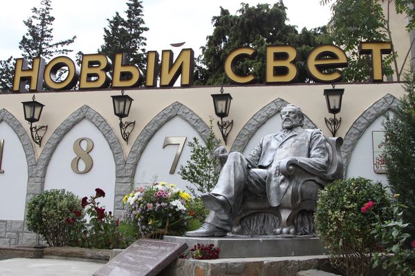 «Новый свет» уйдёт с молотка