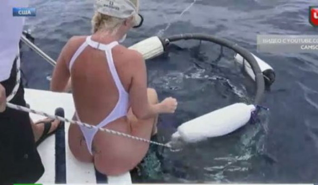 Акула атаковала порноактрису во время подводной фотосессии