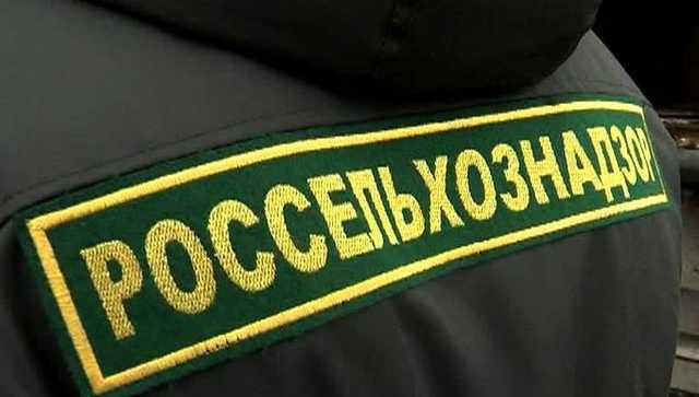 Почему Россельхознадзор выдвинул против PepsiCo обвинения в коммерческом шпионаже