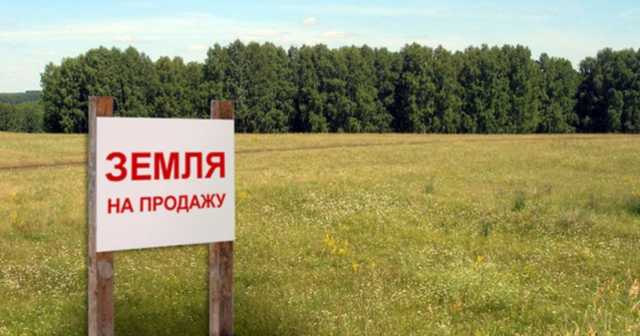 У Кличко раздали 200 гектаров киевской земли. Полный список получателей