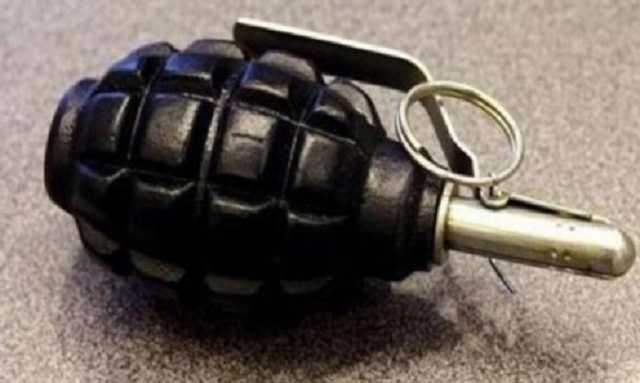 Экспертиза признала изъятые возле Рады гранаты боевыми