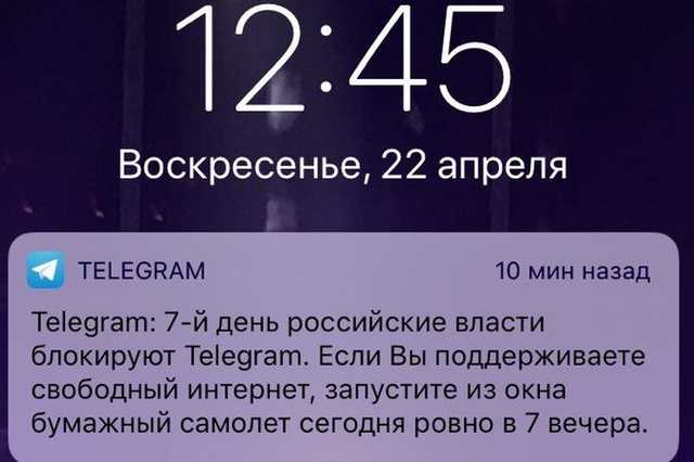 Telegram           22 