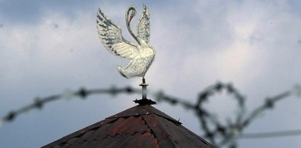 Черная слава «Белого лебедя»