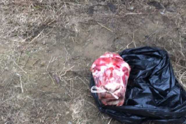 В Казани вымогатели попытались запугать адвоката отрубленной головой