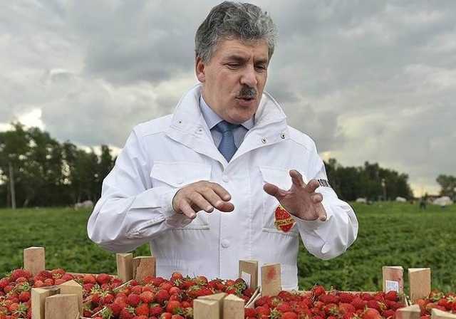 "Коммунист" Грудинин владел 64% акций «Совхоза имени Ленина» через офшор
