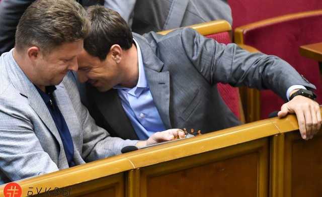 Нардеп от «Народного фронта» пришел в Раду с «деревом» из янтаря
