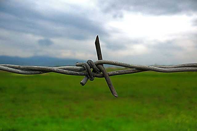 Как правильно бежать из России. Инструкция от активистов и предпринимателей