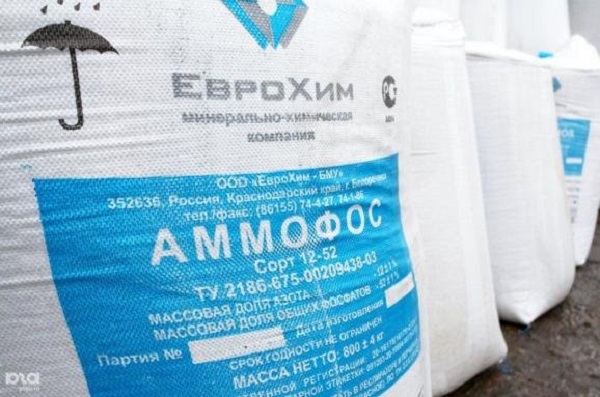 Санкции в действии: российский химгигант понес многомиллионные убытки из-за Украины