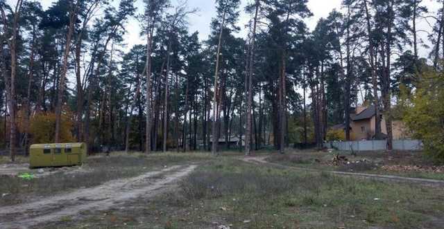 В Буче депутаты продолжают дело Федорука по раздаче леса