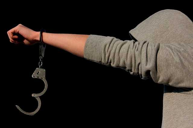 В ЛДПР предложили привлекать подростков к уголовной ответственности с 12 лет
