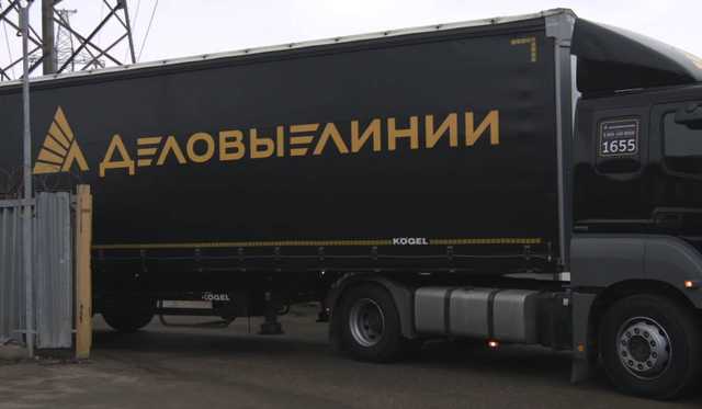 Богатиков Александр Александрович и афера "Деловые Линии": уголовное дело на миллиарды