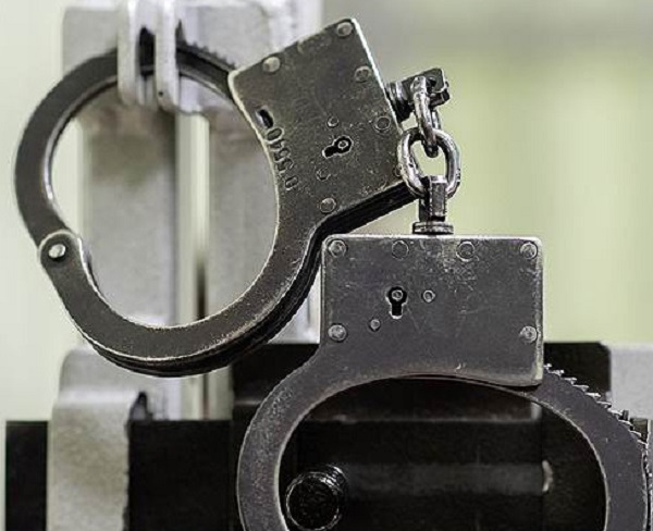 Италия экстрадирует расхитителя подмосковных гектаров Илью Шермана