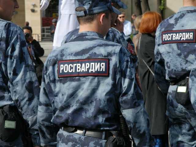В Новгородской области житель Петербурга угрожал инспекторам ДПС охотничьим ружьем