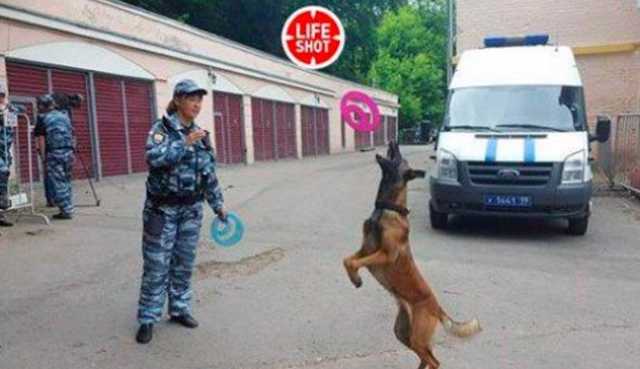 Военный прокурор, убивший служебную овчарку Ли, «смеется и предлагает щенка взамен»