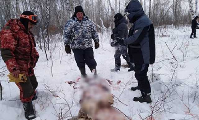 В Башкирии полицейский и депутат попались на браконьерстве
