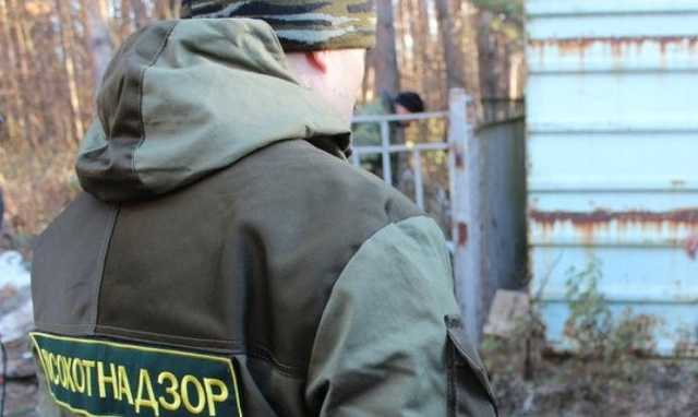 В Приморье инспектор охотнадзора устроил погоню за «браконьерами-полицейскими»