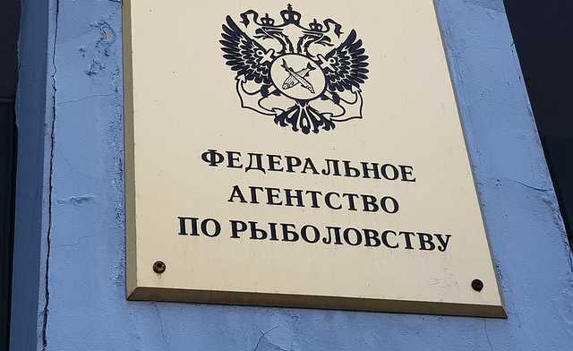 Росрыболовство "сгнило" с головы?