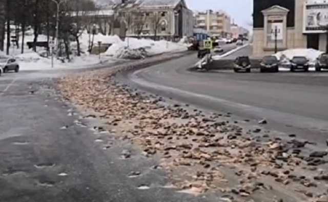 В Петропавловск-Камчатске напротив здания правительства случайно опрокинули 8 тонн рыбных отходов