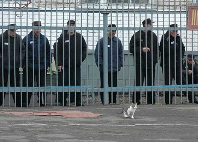 От губернаторского кресла один шаг до тюрьмы и сумы