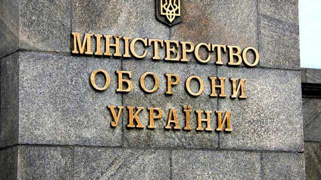 Чиновники Минобороны потеряли двух дельфинов в Турции