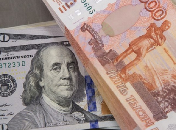 Глава лесного департамента Приморья потребовал $500 тыс от лесозаготовителей