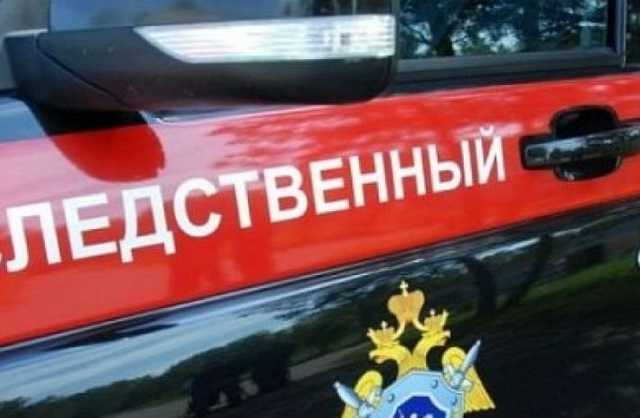 После «Прямой линии» с Путиным орловские следователи начали проверку по трем жалобам