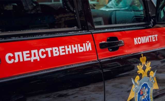 СК начал проверку по факту смерти в детдоме изъятого у матери шестилетнего мальчика