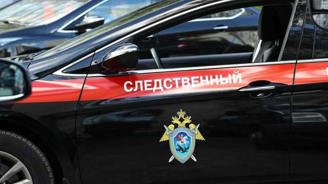 Следственный комитет возбудил дело против матери пропавшей под Вологдой двухлетней девочки