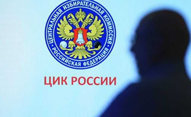 ЦИК призвал усилить контроль над избиркомами после многочисленных жалоб из Петербурга
