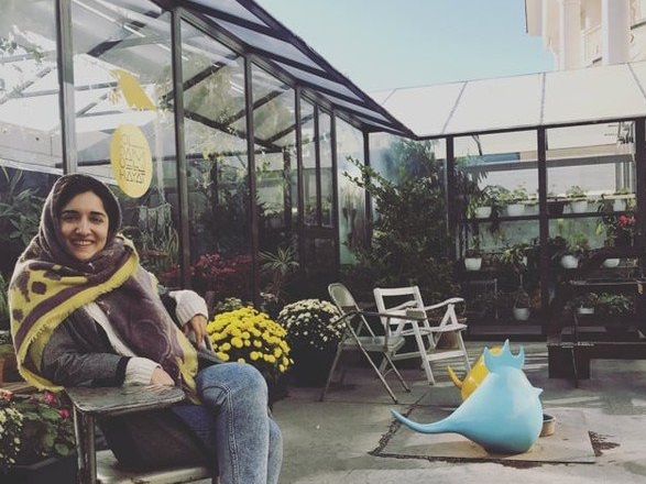 Опубликовано видео, подтверждающее версию самоубийства дочери посла Ирана