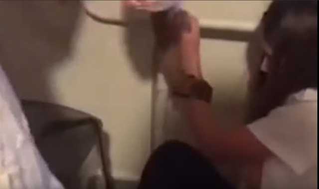    :     .  