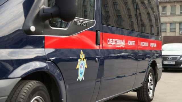 Расчленивший жену россиянин покаялся на видео