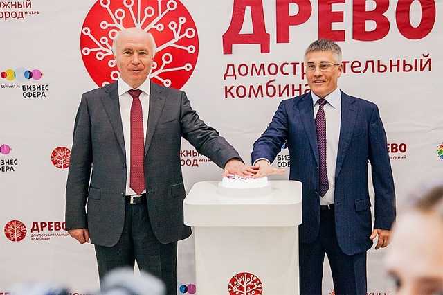 Самарское «Древо» начинает «усыхать»