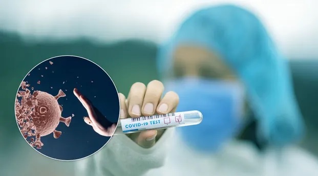 Обнаружена первая мутация COVID-19, против которой антитела могут быть бессильны