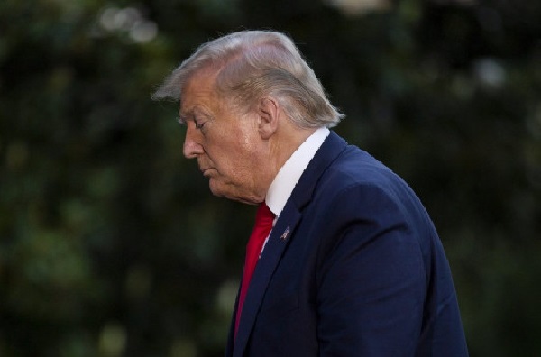 Вылитый Дональд Трамп: фотопортрет акулы произвел сенсацию в сети