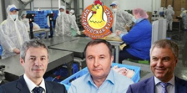 Володин прирастет «Белугой»?