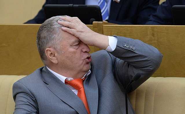 Почем мандат у Жириновского