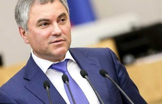 Володин обращался к суррогатным матерям, заявил фигурант дела о торговле детьми