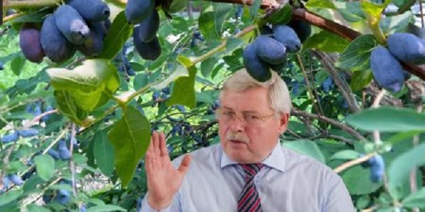 «Пережевали» Жвачкина