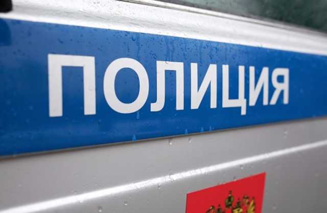 В Подмосковье разыскивают няню, которая похитила двухлетнюю девочку
