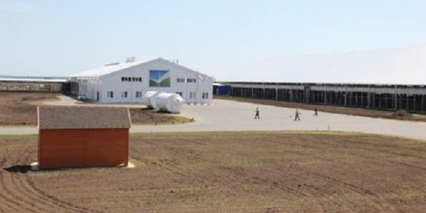 Кустов на обочине «Зеленой долины»