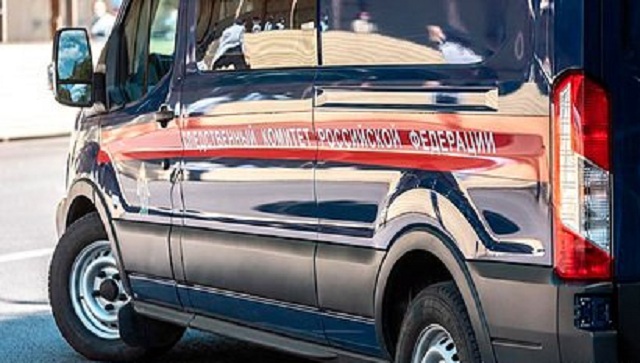 МВД возбудило первое дело после обращения россиянки к Путину на прямой линии