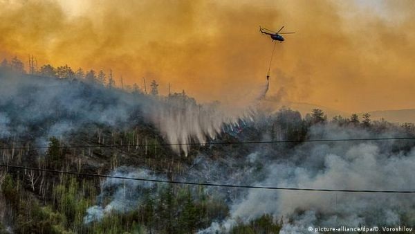 Глобальное потепление и лесные пожары: профессор из ФРГ о наступающей эре огня