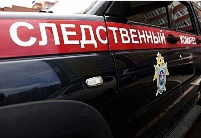 В Подмосковье нашли семерых брошенных детей, вынужденных бродяжничать и жить в шалаше