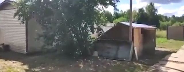 Момент перестрелки с наркоторговцем в Ленобласти попал на видео