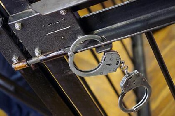 Россиянина посадили на 15 лет за убийство инвалида из-за лая собаки