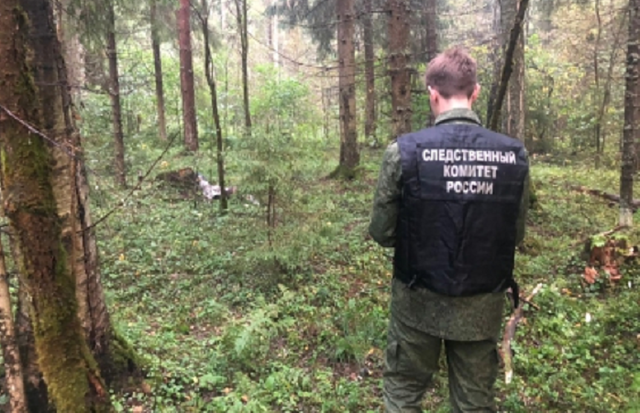 Российский солдат ушел с автоматом в лес за грибами и не вернулся